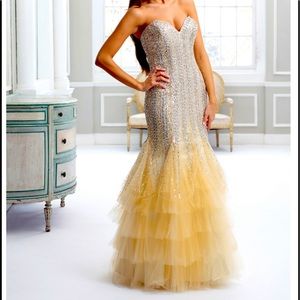 Beautiful prom/ evening Terani dress.